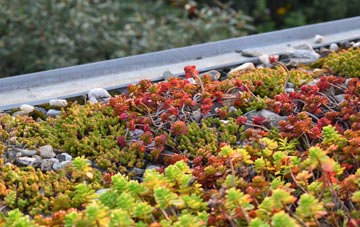 the cost of Milby green roof installation