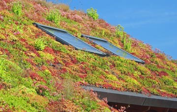 Milby living roof systems