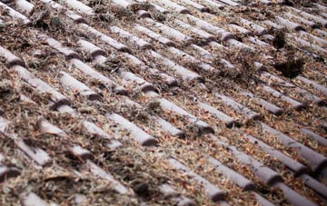 Milby roof cleaning companies