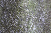 Milby fibreglass roof work